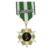 Republic of Vietnam Campaign Medal