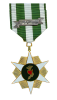 Republic of Vietnam Campaign Medal