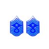 Command Chief Master Sergeant